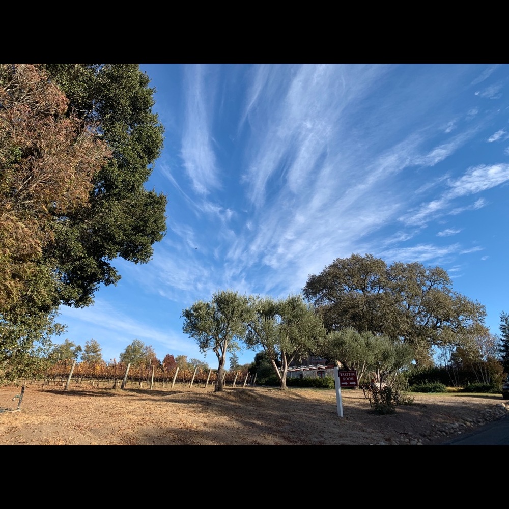 Meet your Posher, Liza